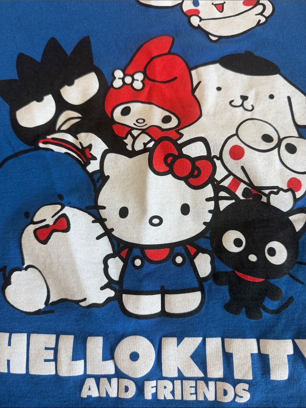 Sanrio Hello Kitty an Friends Blue T-Shirt - Picture 4 of 8